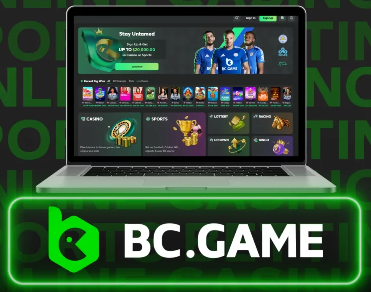 Enhancing User Experience The Role of BC.Game Customer Support