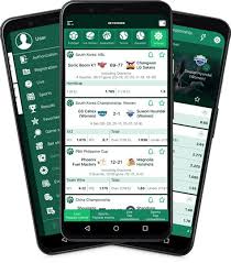 Betwinner APK O Guia Completo para Apostadores