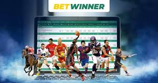 Discover the Benefits of the Betwinner Betting Platform